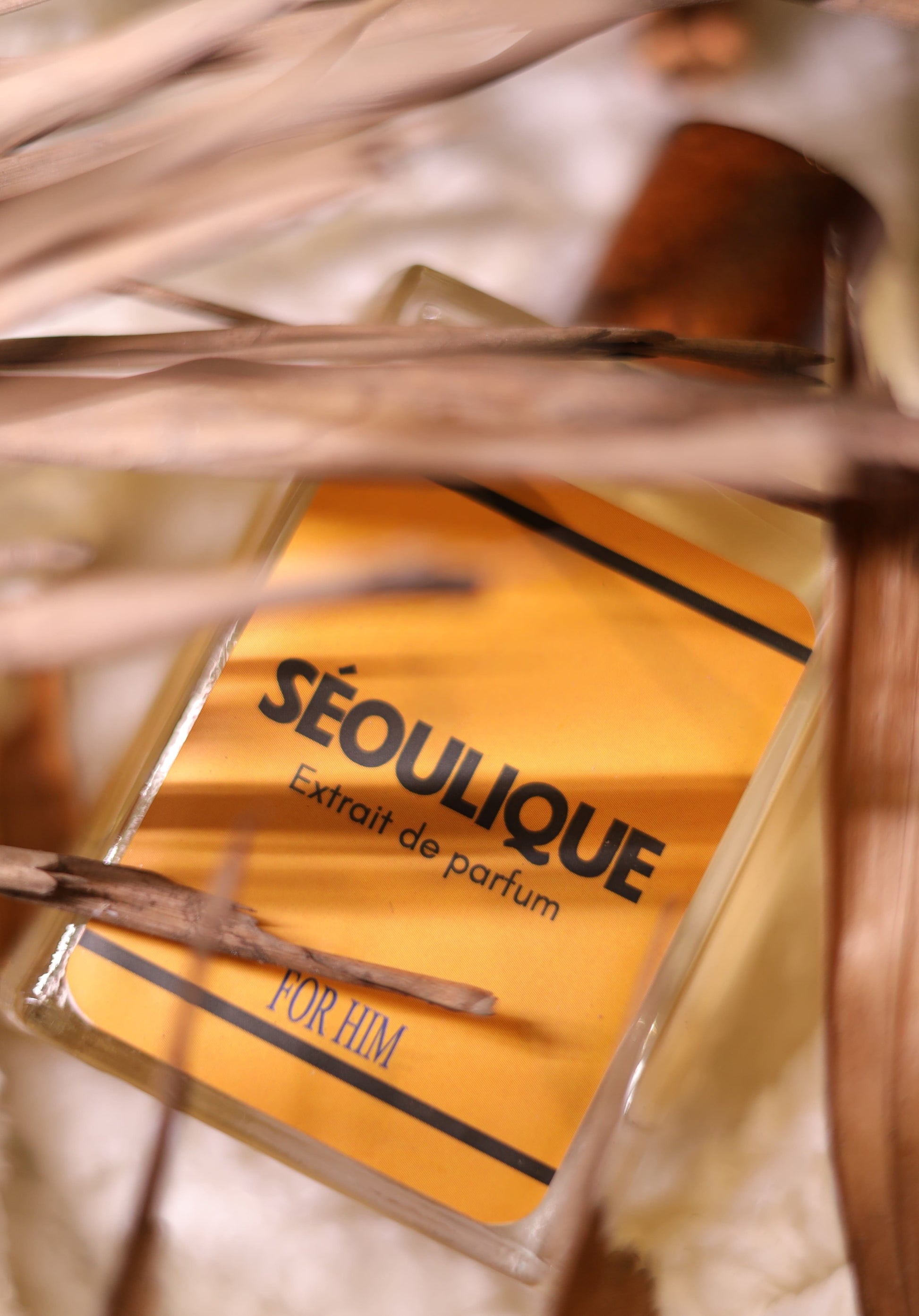 The Outlaws For Men - Seoulique
